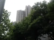 满五年商品房,高层无遮挡视野好,采光好,不临街。