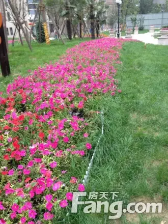 瀚宇天悦实景图