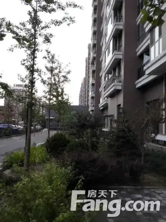 天鸿美域实景图