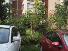 北泉花园 1室1厅 东南