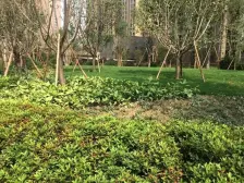 普罗旺世波特兰 2室1厅 西 西北