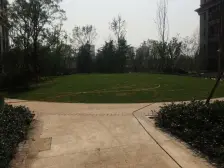 小区中间位置 不临街 不临路 全天采光