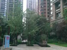 视野开阔,装修保持好,品牌家电,采光充足